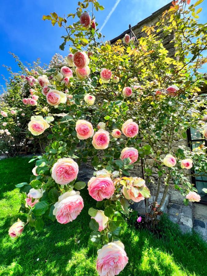 Villa Hautvallon - Peaceful Escape In Provence Gordes Exterior photo